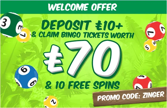 Archived Zinger Bingo welcome offer banner: deposit £10 and claim bingo tickets worth £70 and 10 free spins
